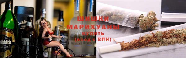 молекула духа Алексеевка