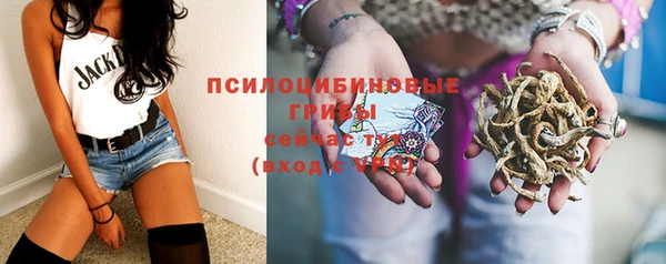 молекула духа Алексеевка