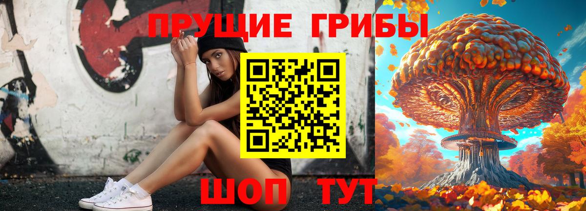 Псилоцибиновые грибы мицелий Балашов