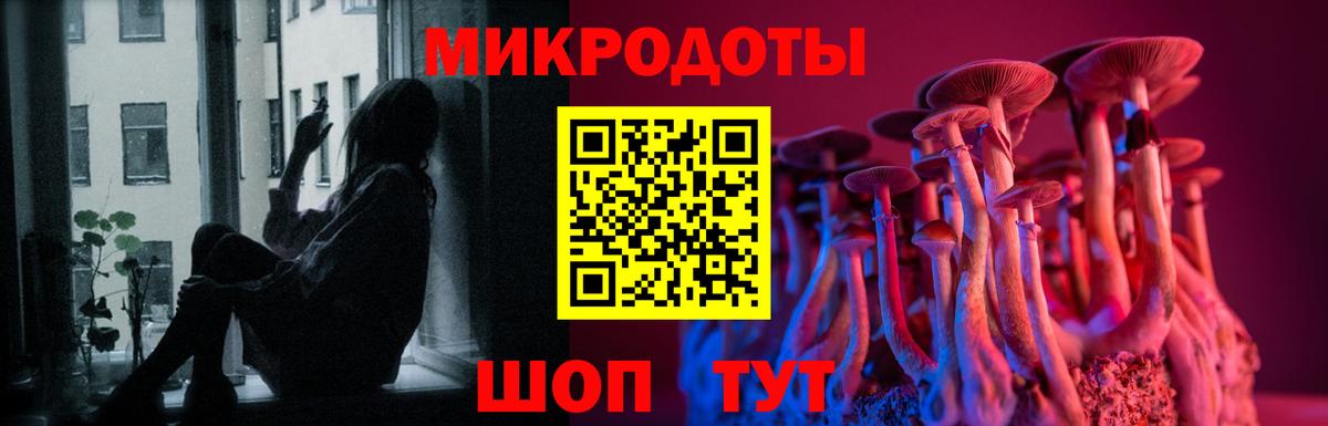 Бошки Шишки Балашов