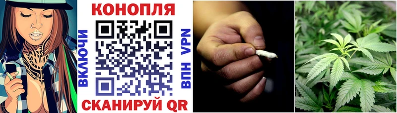 где купить Балашов Каннабис гибрид